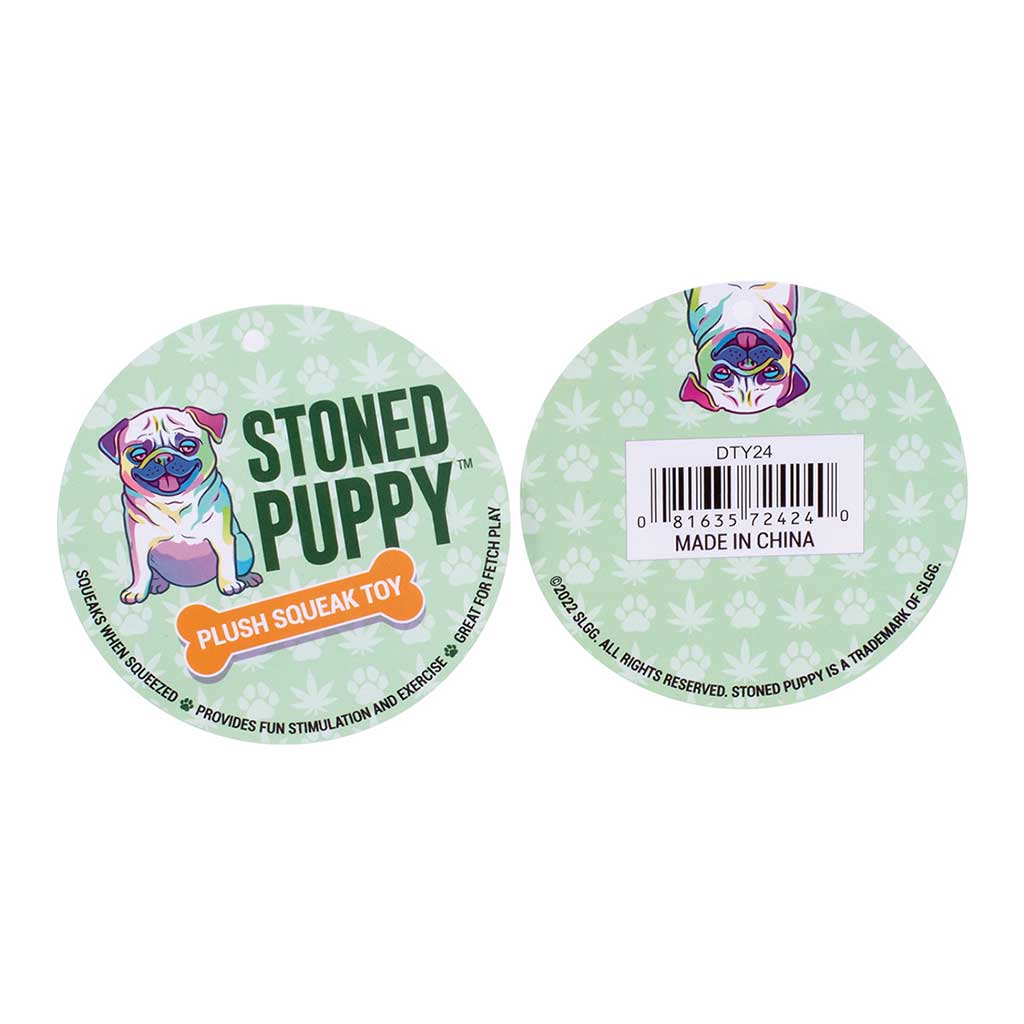 BEST BUDS SQUEAKY DOG TOY WITH PAW DESIGN