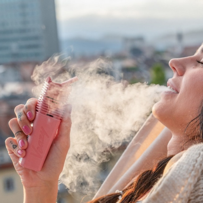 Storz & Bickel Veazy Vaporizer