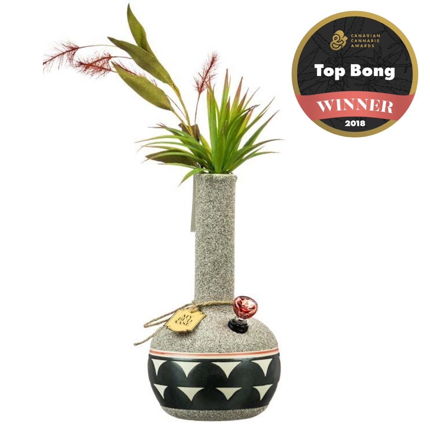 My Bud Vase Coyōté Water Pipe