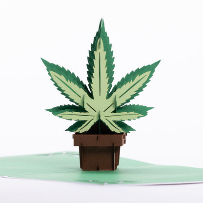 Intricate Greetings | Cannabis Leaf 3D pop-up Cards-Birthday