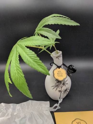 My Bud Vase® Love Bud Vase Bong
