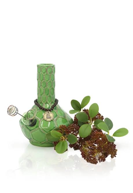 My Bud Vase® Turtle Vase Bong