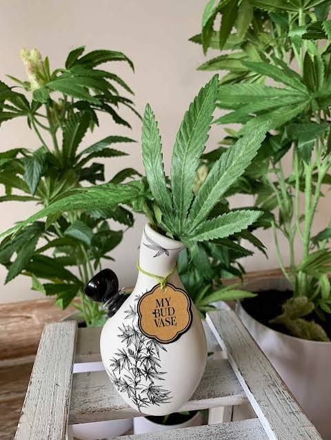 My Bud Vase® Love Bud Vase Bong